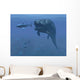Prehistoric Dunkleosteus Fish Prepares Wall Decal