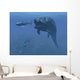 Prehistoric Dunkleosteus Fish Prepares Wall Decal