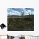 Prehistoric Landscape Silu-devonian Land Wall Decal