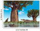 Kaprosuchus Crocodyliforms near Baobab Wall Decal