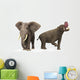 Adult Platybelodon Compared to Wall Decal