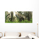 Archosaur Wanders amidst Cycads Wall Decal