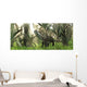 Archosaur Wanders amidst Cycads Wall Decal