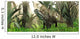 Archosaur Wanders amidst Cycads Wall Decal