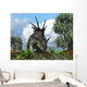 Styracosaurus Samples Flowers Order Wall Decal