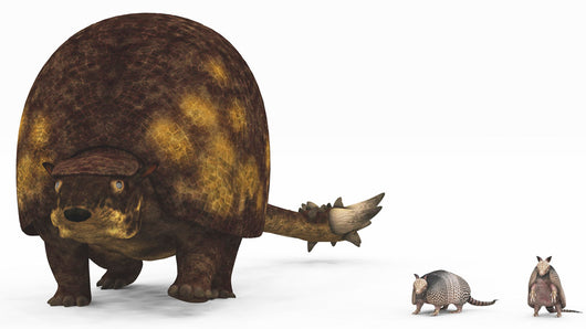 Doedicurus Glyptodont Compared to Wall Decal