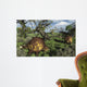 Prehistoric Glyptodonts Graze Grassy Wall Decal
