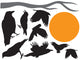 Crows with Moon and Wall Decal Sticker Set Wall Decal