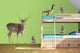 Realistic Forest Animals Wall Decal Sticker Set Wall Decal