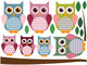 Colorful Owl Family Wall Decal Sticker Set Wall Decal