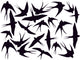Black Swallows Wall Decal Sticker Set Wall Decal
