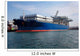 Norwegian General Cargo and Wall Decal