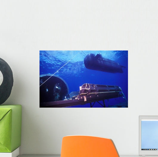 Seal Delivery Vehicle Hovers Wall Decal