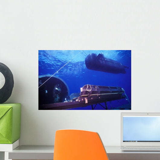 Seal Delivery Vehicle Hovers Wall Decal