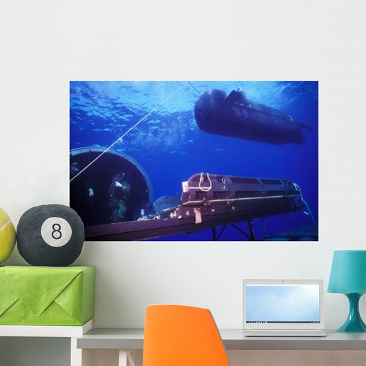 Seal Delivery Vehicle Hovers Wall Decal