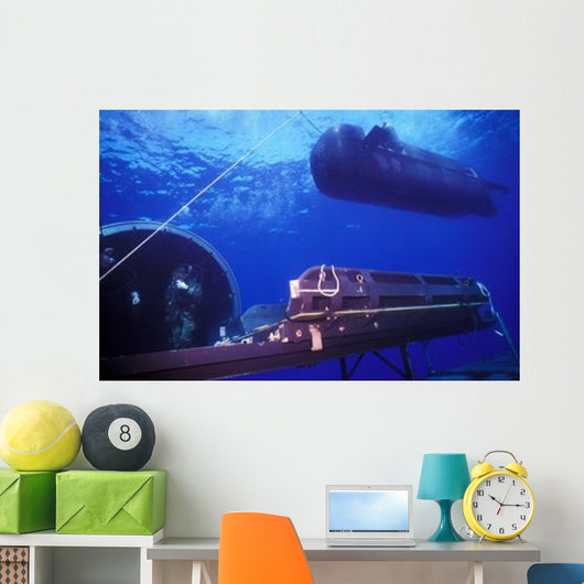 Seal Delivery Vehicle Hovers Wall Decal