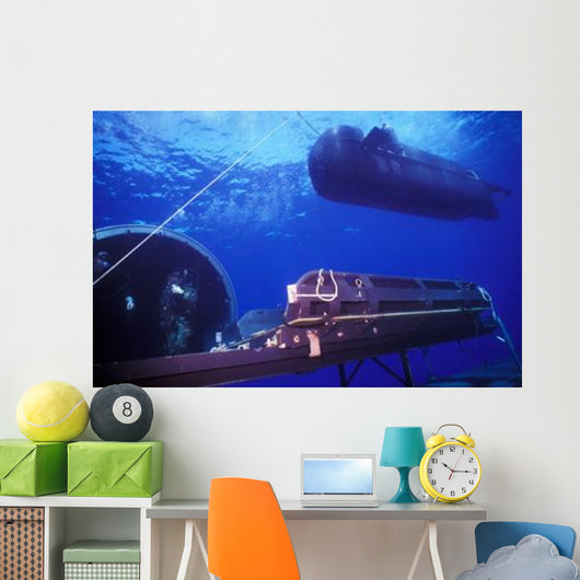 Seal Delivery Vehicle Hovers Wall Decal