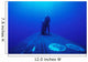 Navy Seal Stands Next Wall Decal