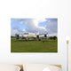 P-3 Orion Aircraft Display Wall Decal Design 1