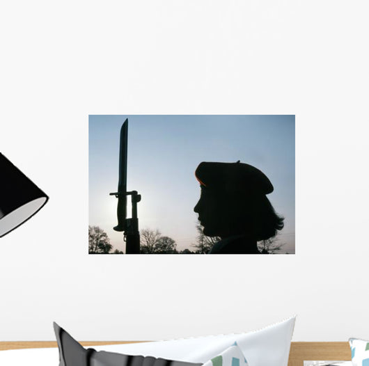 Navy Flying Rifles Drill Wall Decal