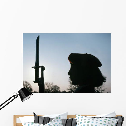 Navy Flying Rifles Drill Wall Decal