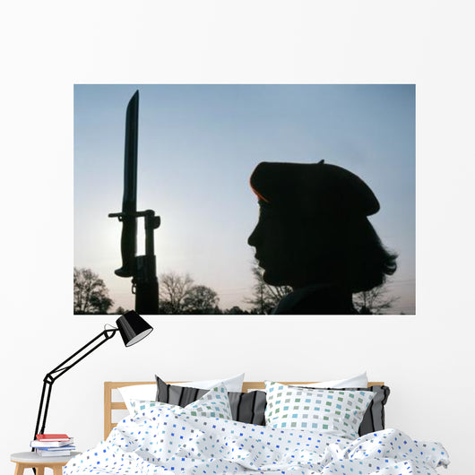 Navy Flying Rifles Drill Wall Decal