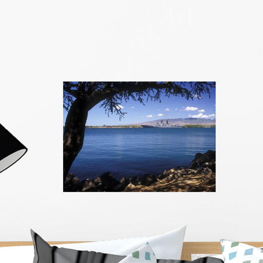 Russian Destroyer Admiral Panteleyev Wall Decal Design 2