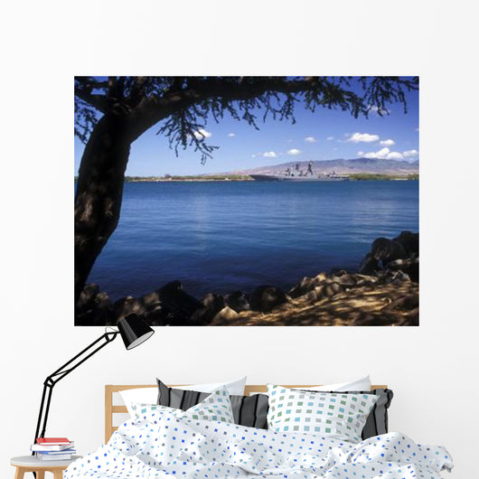 Russian Destroyer Admiral Panteleyev Wall Decal Design 2