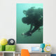 Us Navy Seal Combat Wall Decal Design 5