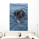 Us Navy Seal Combat Wall Decal Design 4