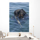 Us Navy Seal Combat Wall Decal Design 4