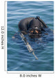 Us Navy Seal Combat Wall Decal Design 4