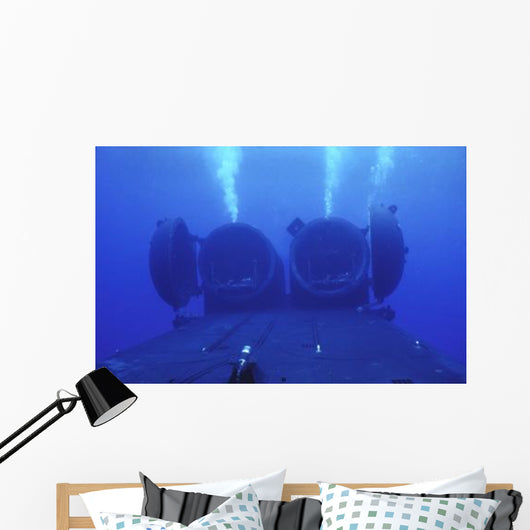 Dual Dry Deck Shelters Wall Decal Design 2