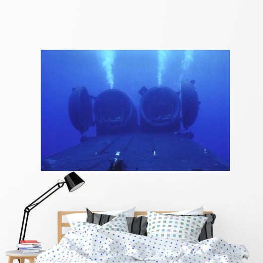 Dual Dry Deck Shelters Wall Decal Design 2