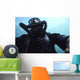 Looking up Navy Seal Wall Decal