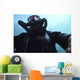 Looking up Navy Seal Wall Decal