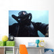 Looking up Navy Seal Wall Decal