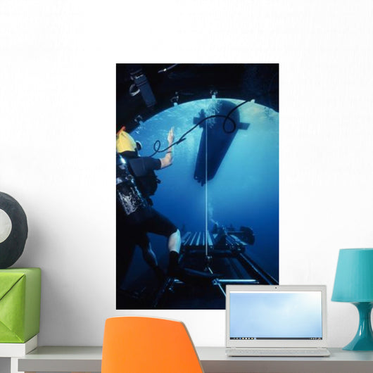 Seal Delivery Vehicle Breaks Wall Decal
