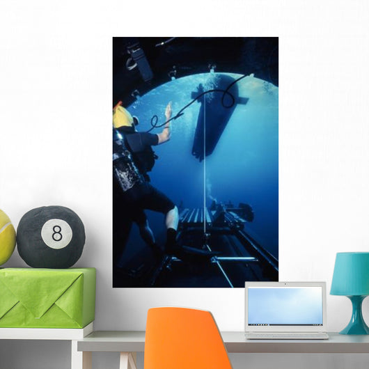 Seal Delivery Vehicle Breaks Wall Decal
