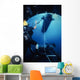 Seal Delivery Vehicle Breaks Wall Decal
