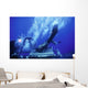 Dry Deck Shelter Crewmen Wall Decal Design 1