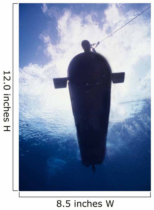 Underwater Mk-8 Mod-0 Seal Wall Decal
