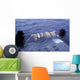 Navy Seals Neutrally Ballast Wall Decal
