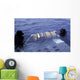 Navy Seals Neutrally Ballast Wall Decal