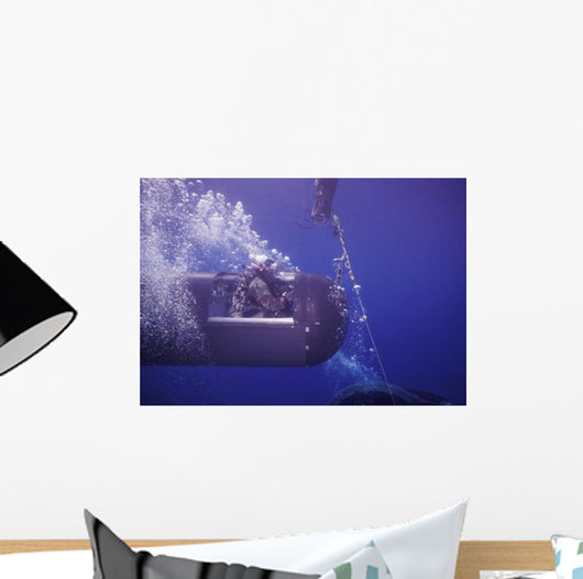 Seal Delivery Vehicle Tether Wall Decal