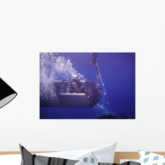 Seal Delivery Vehicle Tether Wall Decal