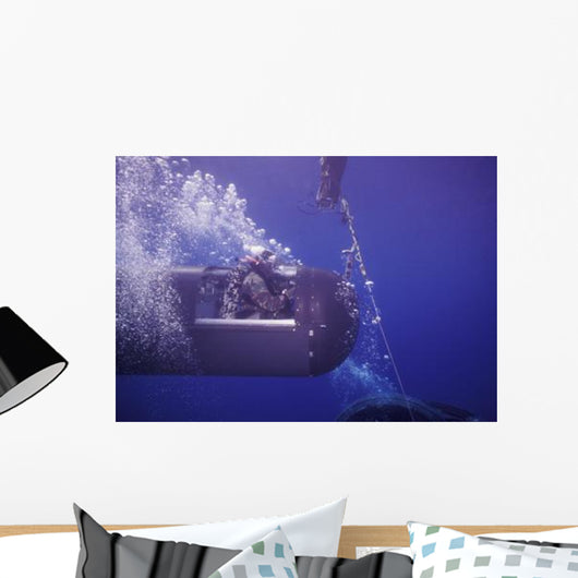 Seal Delivery Vehicle Tether Wall Decal