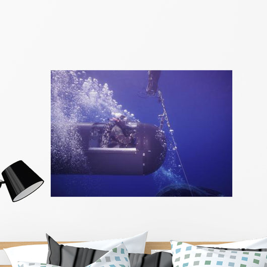 Seal Delivery Vehicle Tether Wall Decal