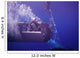 Seal Delivery Vehicle Tether Wall Decal