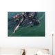 Navy Seal Combat Swimmer Wall Decal